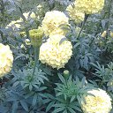 ���� ������, ������ - ��������� 22 ������� 2017 � ������ ���� �������!!!�