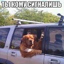 ���� �������, ������ - ��������� 7 ������� 2017 � ������ ��������