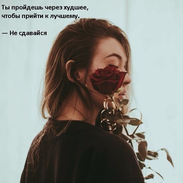   - 11  2017  03:45