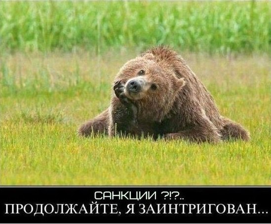   - 1  2017  09:01