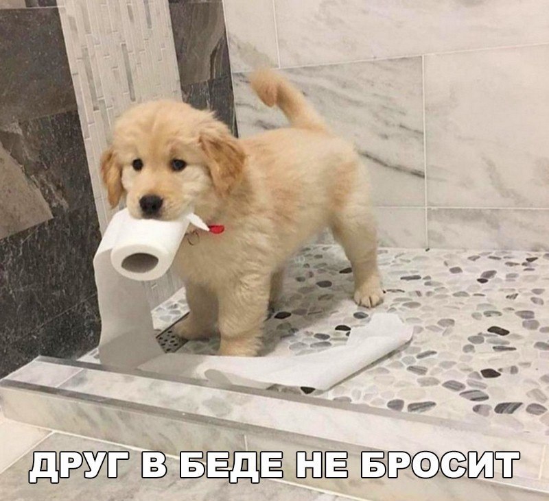    :D - 26  2017  20:07