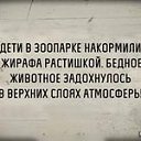 ���� ����, ��������� - ��������� 2 �������� 2017 � ������ ��� �������ʻ