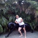  ,  -  2  2017    2017   ...))))