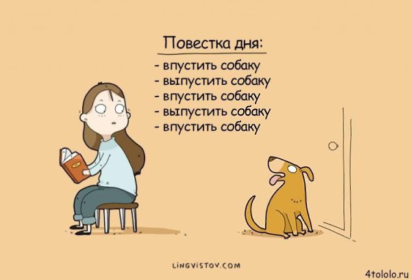 Смешные комиксы о собачьих заскоках, несмотря на которые мы всё равно их любим.#настроение@ican