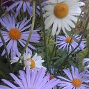 ���� ������, ������ - ��������� 22 ������� 2017 � ������ ���� �������!!!�