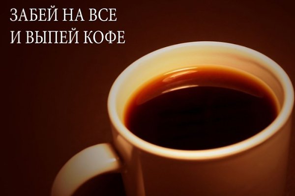    - 6  2017  12:58