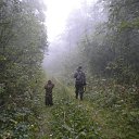 ���� ��������, ���������, 52 ���� - ��������� 10 ��� 2017 � ������ ���� ����������