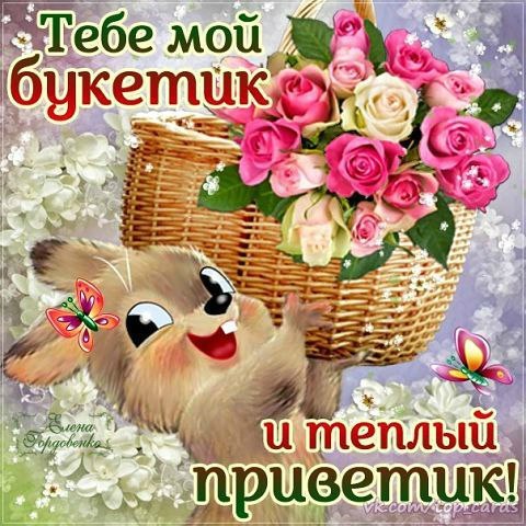  ,  ,  ,  , ,    - ,  , , ...