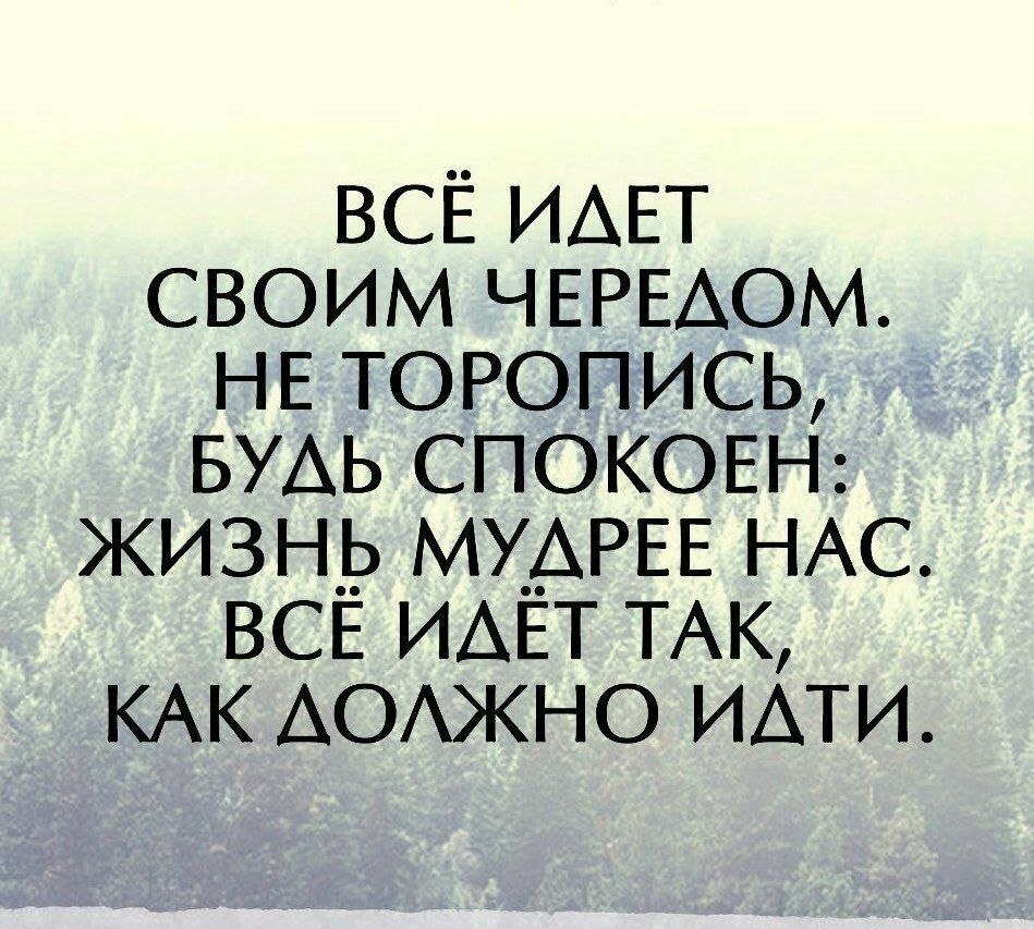  - 17  2017  07:56