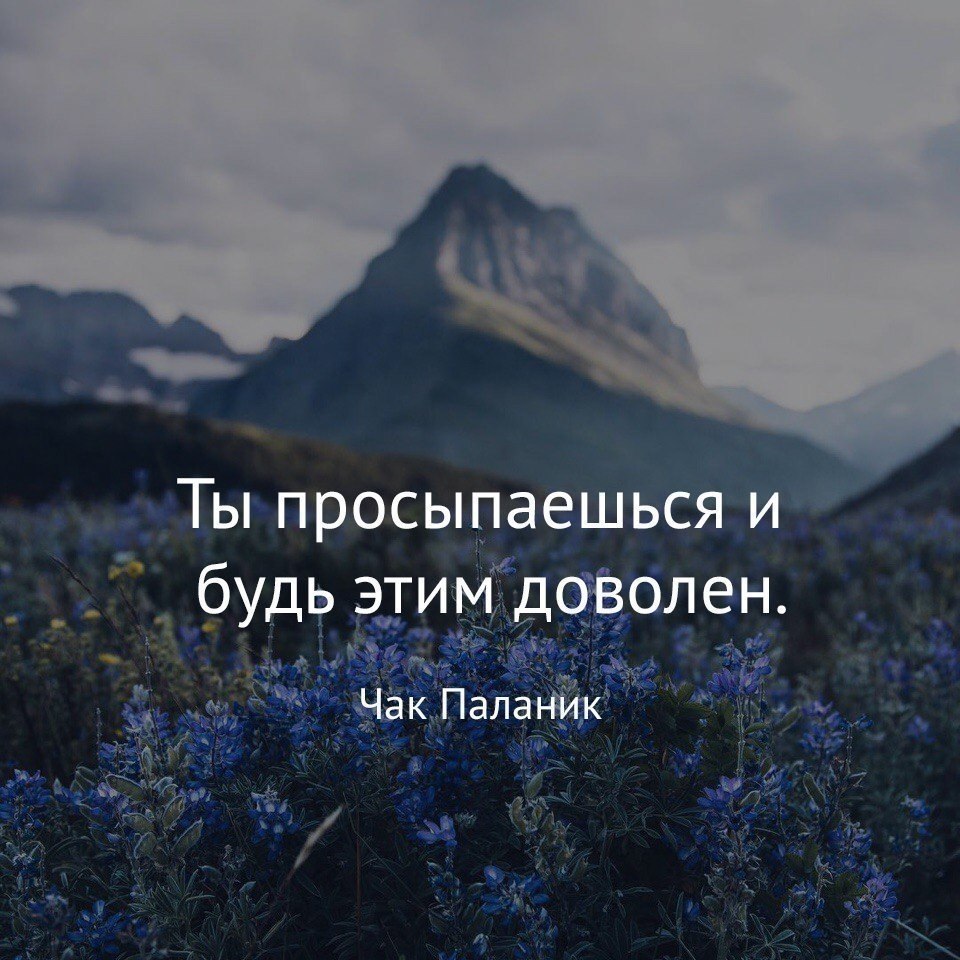  | ,  - 8  2017  07:16