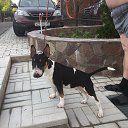 ���� ������, ������, 64 ���� - ��������� 25 ��� 2017 � ������ ������ ��������