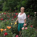 ���� �������, ���������, 69 ��� - ��������� 20 ������ 2017 � ������ ���� ����������