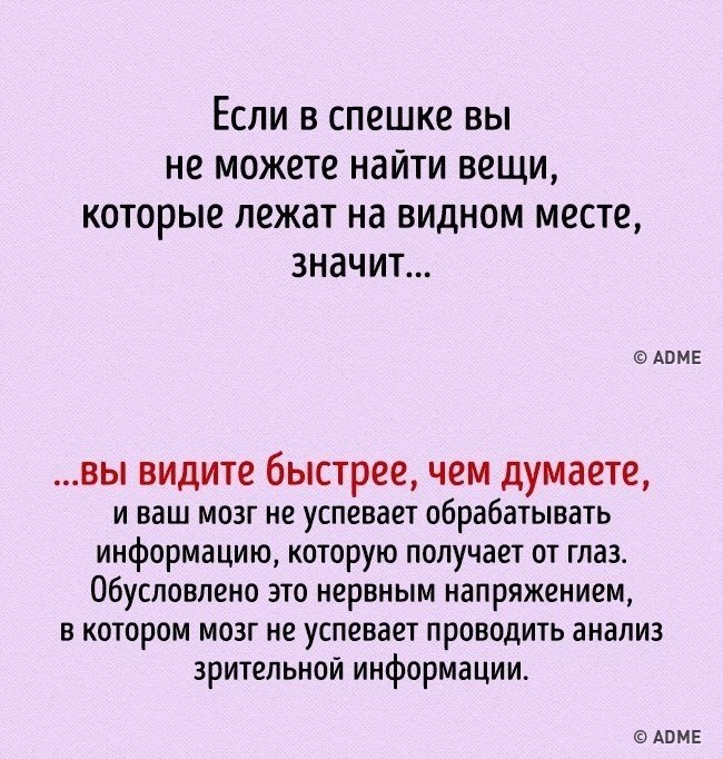 10  ,       . - 6
