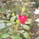  , , 60  -  2  2017   ,02.09.17. &quot;  &quot;