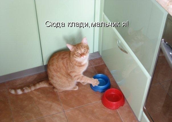 ,     .   ... - 2