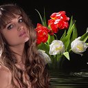 ���� ��������, ������ - ��������� 11 ������� 2017