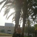 ���� M@rio, ������, 43 ���� - ��������� 26 ���� 2017 � ������ ���� ����������
