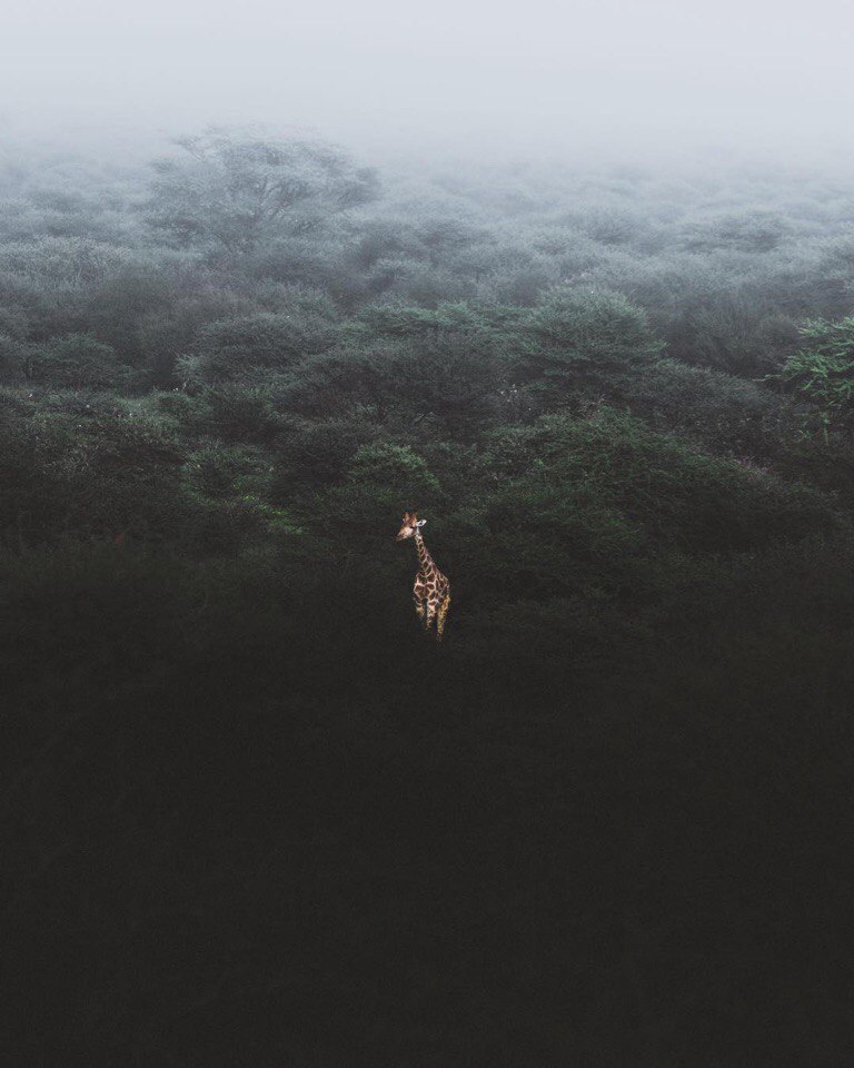 Africa - 7