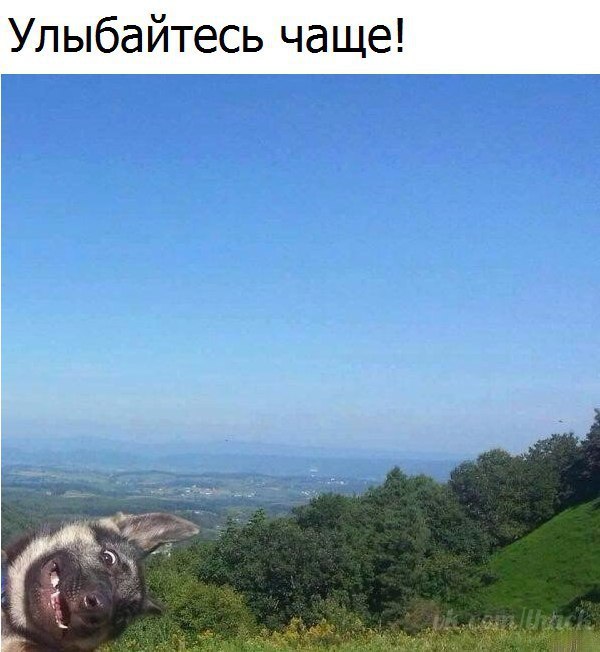  - 23  2017  12:37