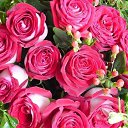  Kamal, , 59  -  19  2017   3D gallery