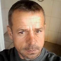 �������, ���������, 56 ���