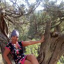 ���� ��������, ��������������� - ��������� 10 ���� 2017 � ������ ���� ����������