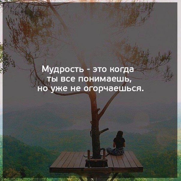    - 21  2017  10:17