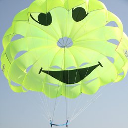 ������, ������ ��������, 47 ���