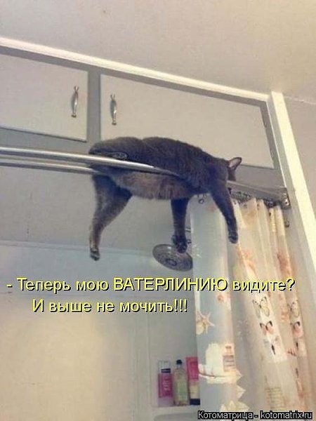)))
