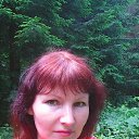  , , 52  -  24  2017    2017