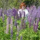 ���� �������, ������ - ��������� 15 ���� 2017 � ������ ���� ����������