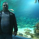  , , 43  -  4  2017     !!!