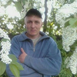 �����, ������, 43 ����