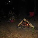  ,  -  4  2017   -  2017