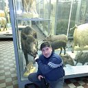 ���� �������, �����, 48 ��� - ��������� 27 ������ 2017 � ������ ���� ����������