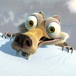 ���� ������, �����-���������, 40 ��� - ��������� 16 ������ 2017