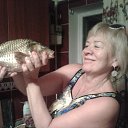 ���� ������, ����, 71 ��� - ��������� 5 ������� 2017 � ������ ���� ����������