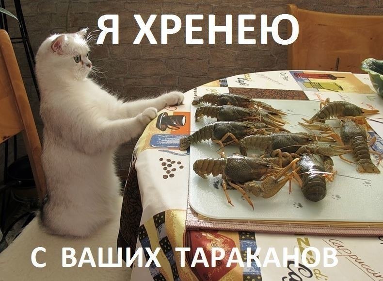  - ,  - 15  2017  18:54