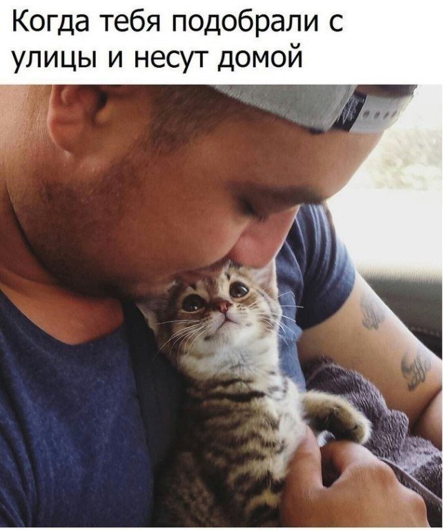 - ,  - 25  2017  17:00