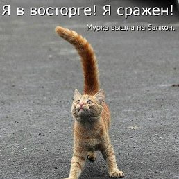 ���� ������ ))), �����-��������� - ��������� 27 ���� 2017