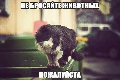       - 10  2017  09:26