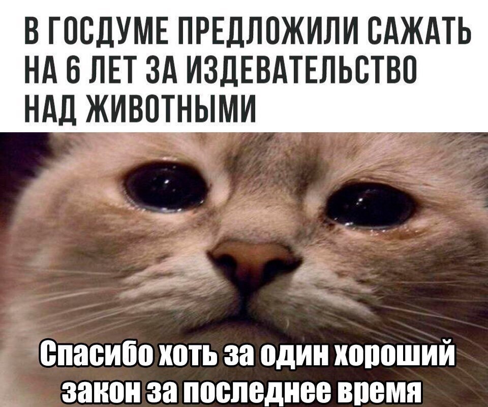    :D - 15  2017  07:40