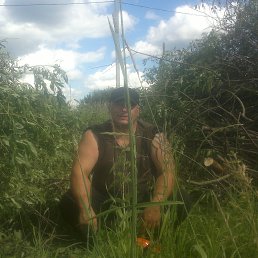���� Aleks, �����, 50 ��� - ��������� 28 ������� 2017