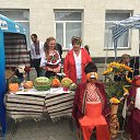  Romana, , 73  -  24  2017    