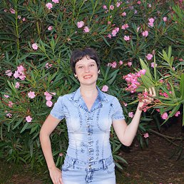 ��������, ������-��-����, 43 ����