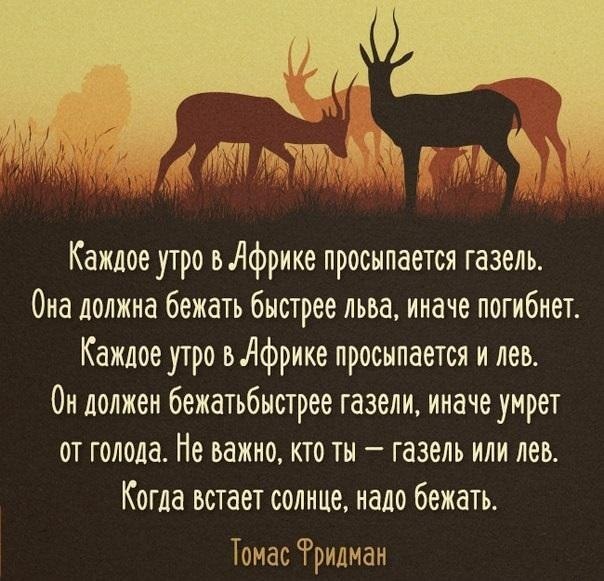 IQ Blog: , , ,  - 14  2017  07:04