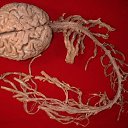 ���� ����������, �������, 43 ���� - ��������� 15 ���� 2017 � ������ ���� ����������