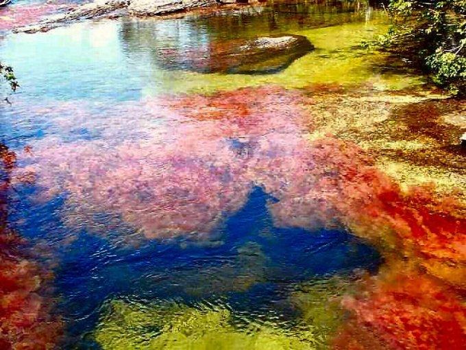    De La Macarena       Cano Cristales,  ...