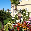 ���� �������, ������������, 51 ��� - ��������� 6 ��� 2017 � ������ ������� 2016�