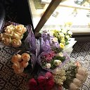 ���� �������, ������������ - ��������� 27 ��� 2017 � ������ ������ ��������